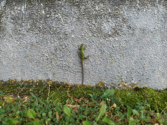 Similar image 21415993