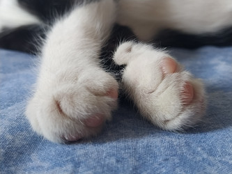 Similar image 21417976