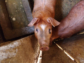 Similar image 21417980