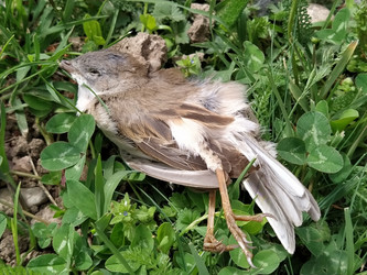 Similar image 21389223