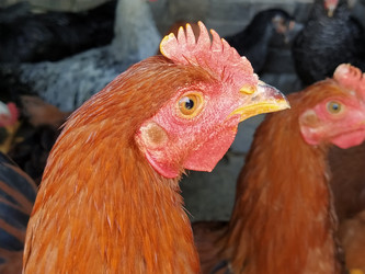 Similar image 21389476