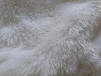 Similar image 21389481