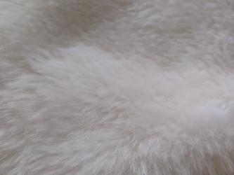 Similar image 21389498