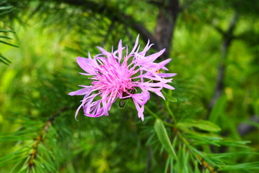 Similar image 21405279