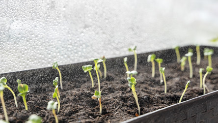 Similar image 21424737