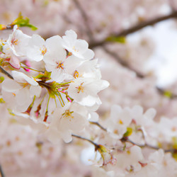 Similar image 21404408