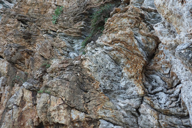 Similar image 21405297