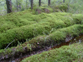 Similar image 21405309