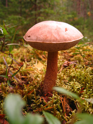 Similar image 21405311