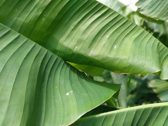 Similar image 21405671