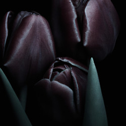 Similar image 21406196