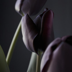 Similar image 21415352