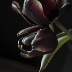 Similar image 21415356