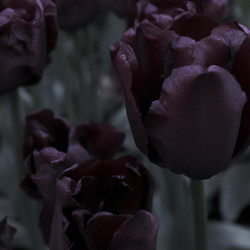 Similar image 21415358