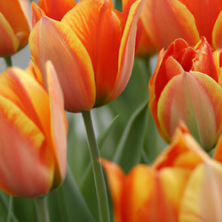 Similar image 21405845