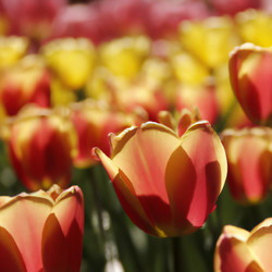 Similar image 21405846