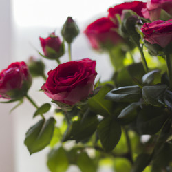 Similar image 21415360