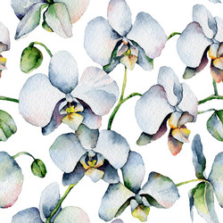 Similar image 21426216