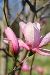 Similar image 21414217