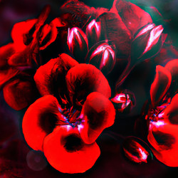 Similar image 21405943