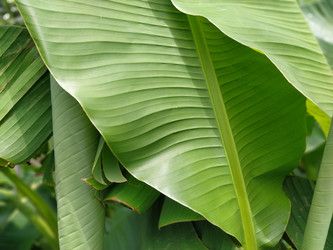 Similar image 21415369