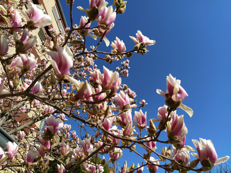 Similar image 21415370