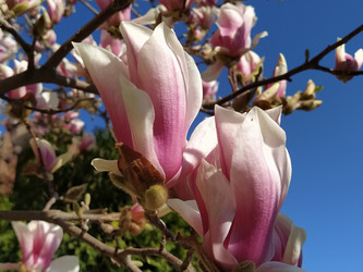 Similar image 21415371