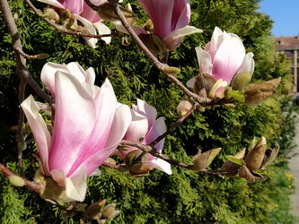 Similar image 21415372