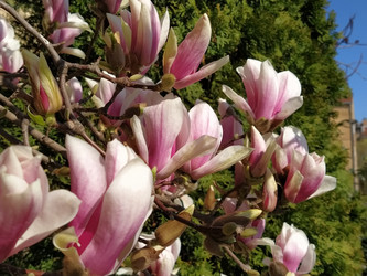 Similar image 21415373