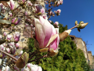 Similar image 21415374