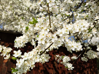 Similar image 21415375