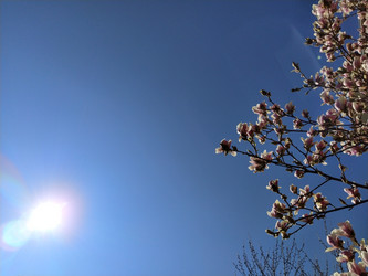 Similar image 21415376