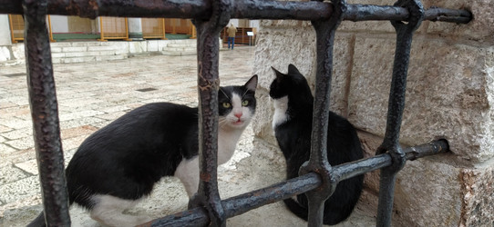 Similar image 21415379