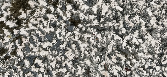 Similar image 21415384