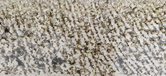 Similar image 21415388