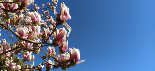 Similar image 21415400