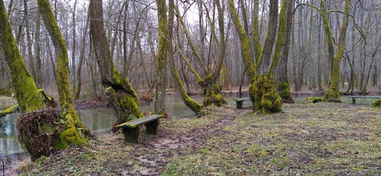 Similar image 21415882