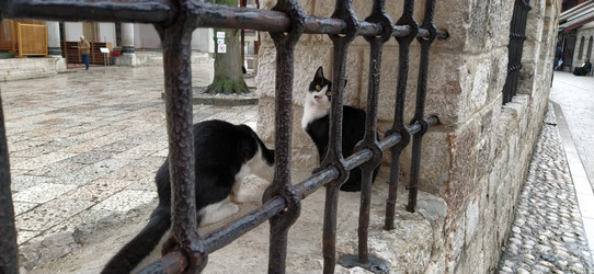 Similar image 21416142