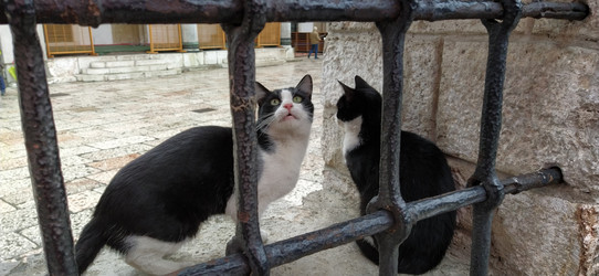 Similar image 21416251