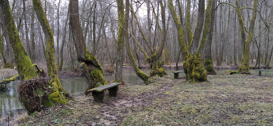 Similar image 21416252