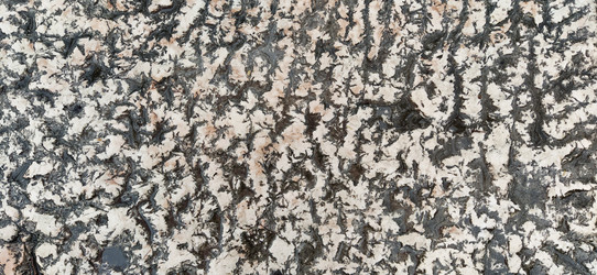 Similar image 21416351