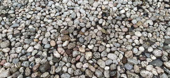 Similar image 21416391