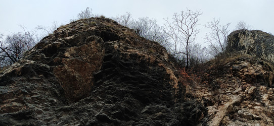 Similar image 21416717