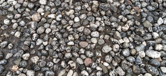 Similar image 21416723