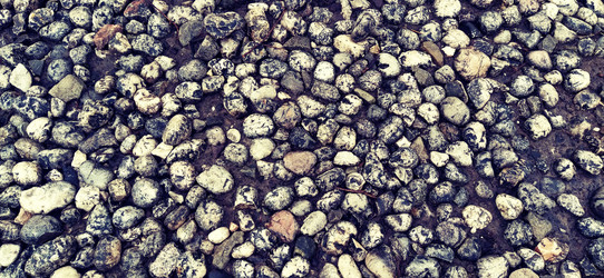 Similar image 21416725