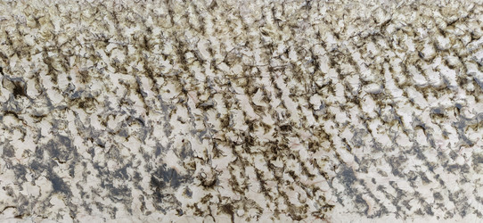 Similar image 21417168