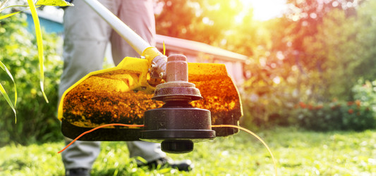 Similar image 21425537