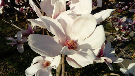 Similar image 21405673