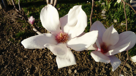 Similar image 21405674