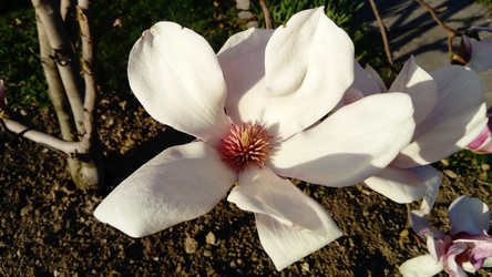 Similar image 21405675